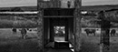 gallery/a-comps/16.jpg