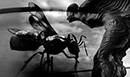 gallery/a-comps/18.jpg